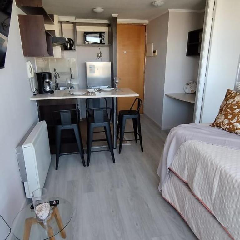 Acogerdor departamento en santiago centro - One-Bedroom Apartment - 6