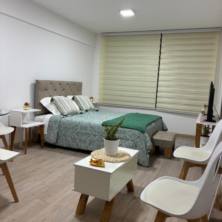 Studio8region - One-Bedroom Apartment - 2