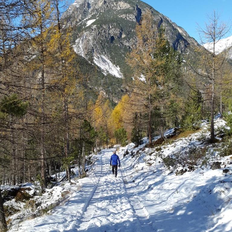 Casa Reit - Appartamento con Vista Montagna - 54