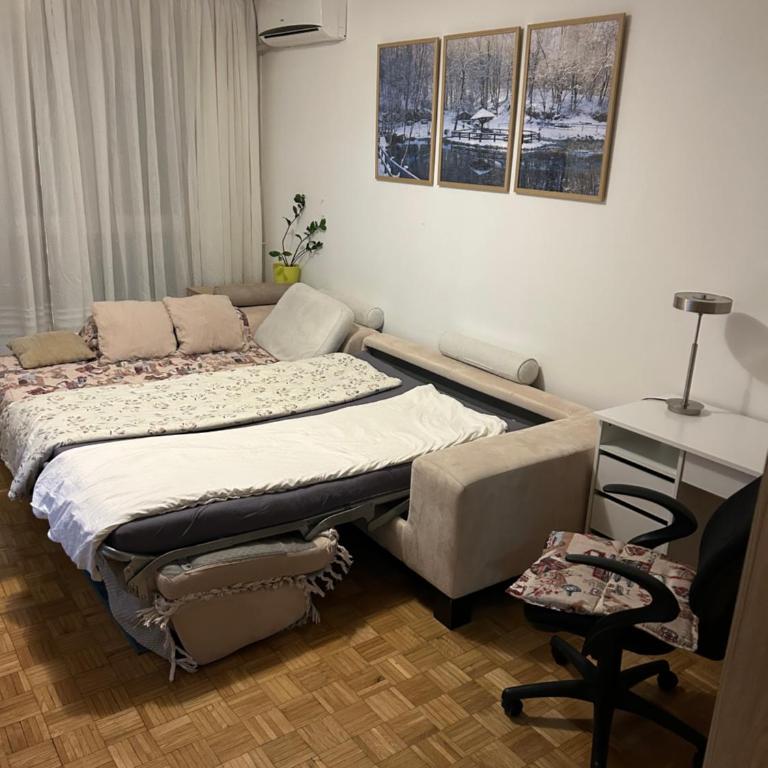 Apt 1944 - One-Bedroom Apartment - 4