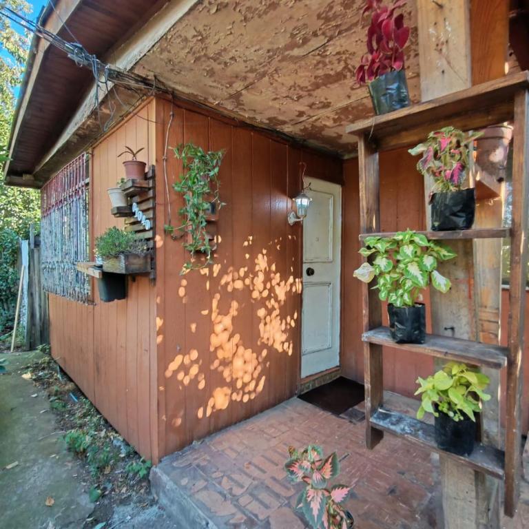 Casa Chill-ko - One-Bedroom House - 6