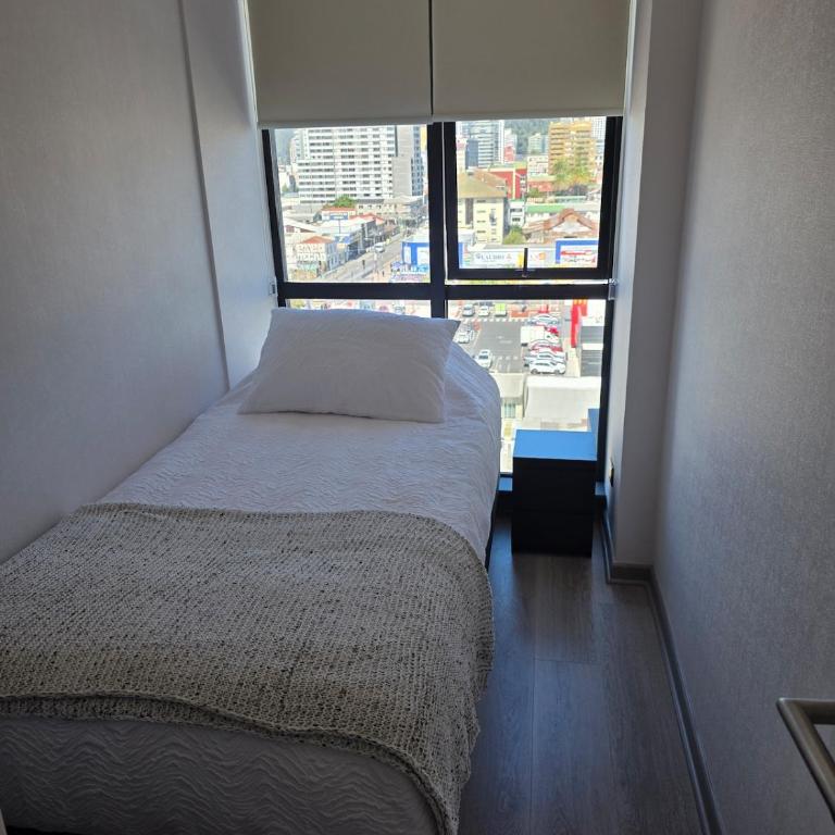 Depto 2d 2b de alta calidad en Concepcion Centro - Two-Bedroom Apartment - 10