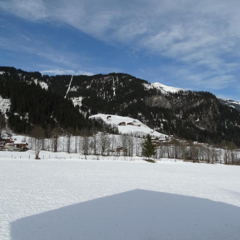 Gästehaus Posch - Einzelzimmer mit Balkon - 1