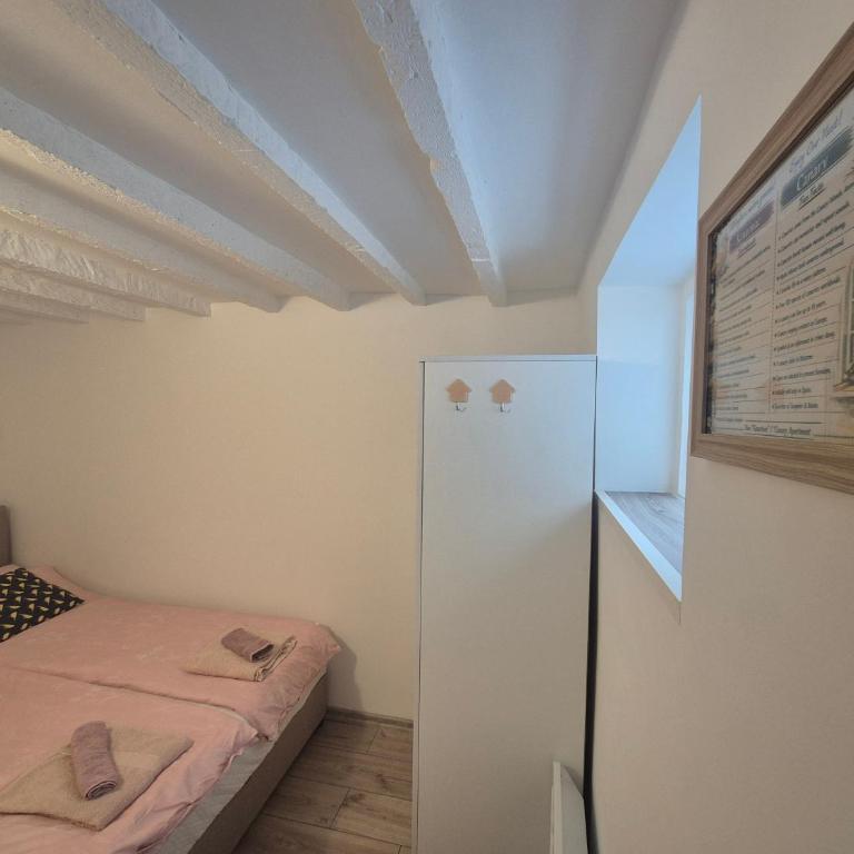 Apartman Kanarinac - Apartman sa 1 Spavaćom Sobom - 8