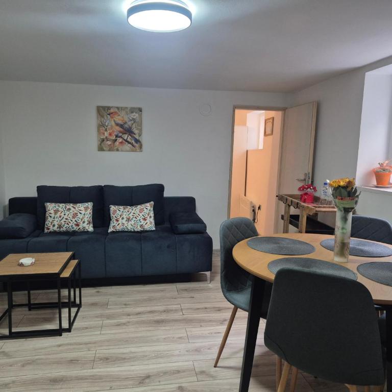 Apartman Kanarinac - Apartman sa 1 Spavaćom Sobom - 6