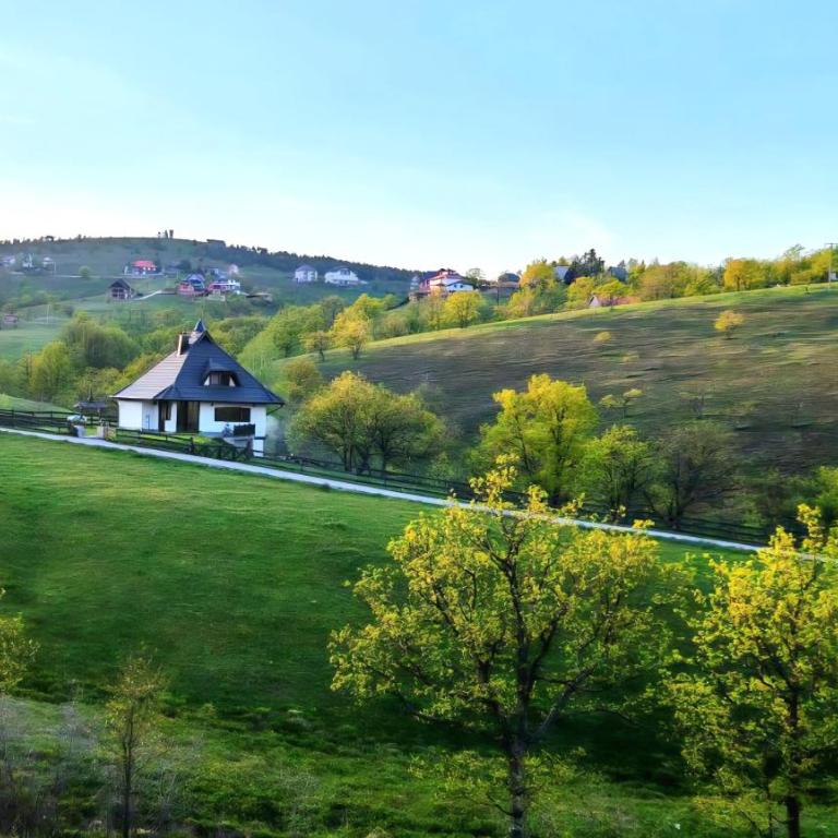 Casa Mila Zlatibor - Vila - 10