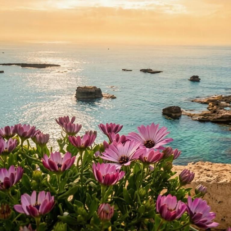 Aura - Luxury Suite - Casa Vacanze - 17