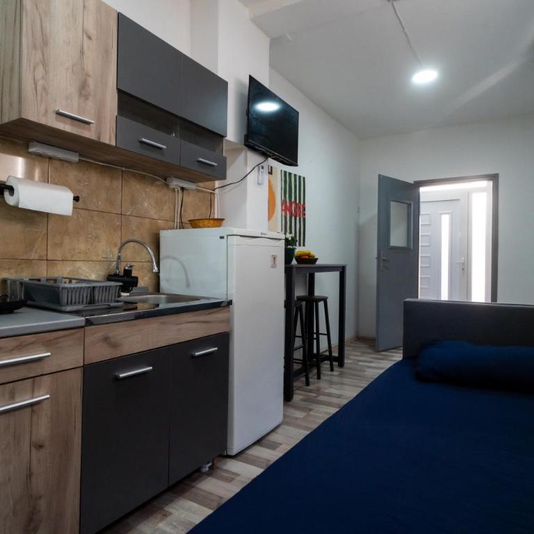 Apartman Vukelic 1 - Apartman sa 1 Spavaćom Sobom - 4