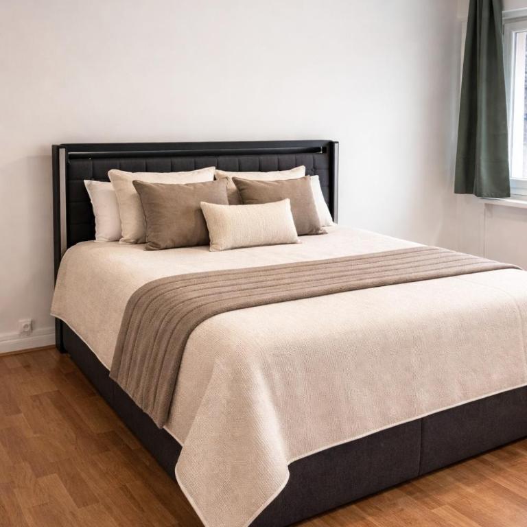 Appartement rénové 50m carrés, confort avec SAUNA - Appartement 1 Chambre - 1