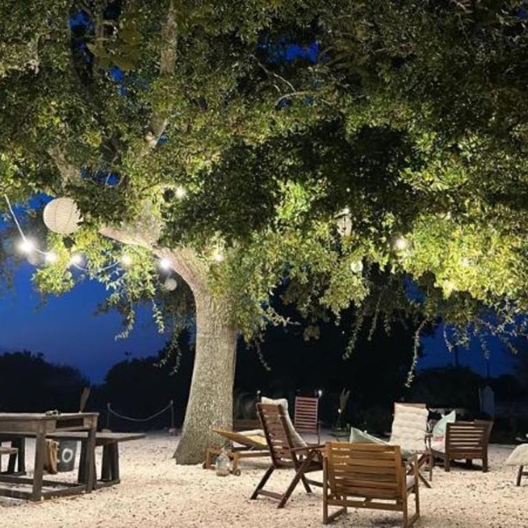 Guest House 38 Monopoli by JD Collection - Trullo con Piscina Privata - 3