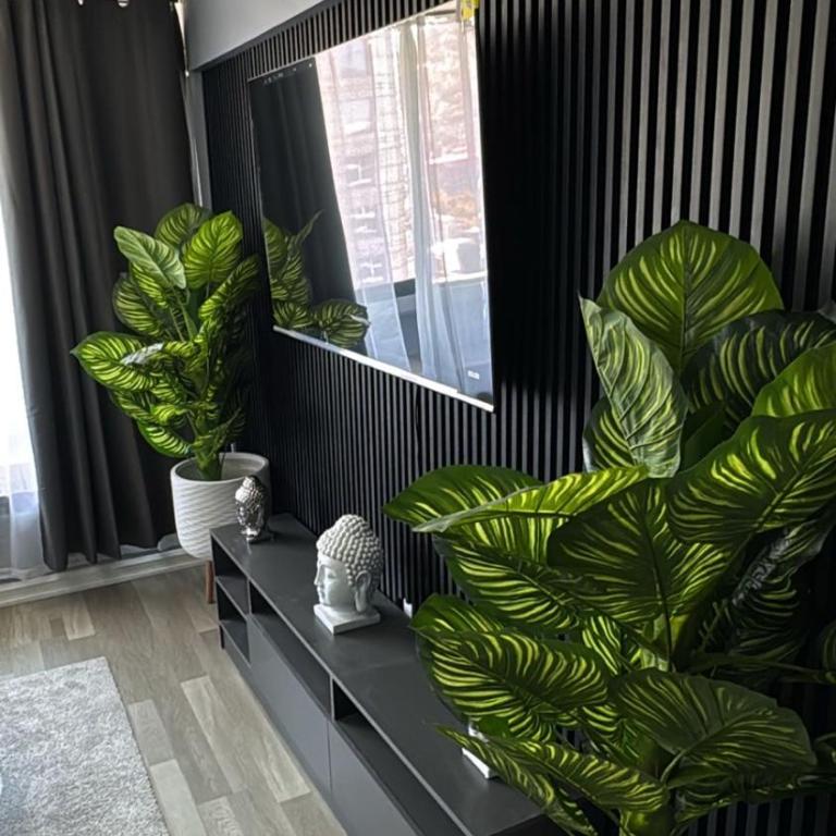 Departamento en Santiago - Three-Bedroom Apartment - 6