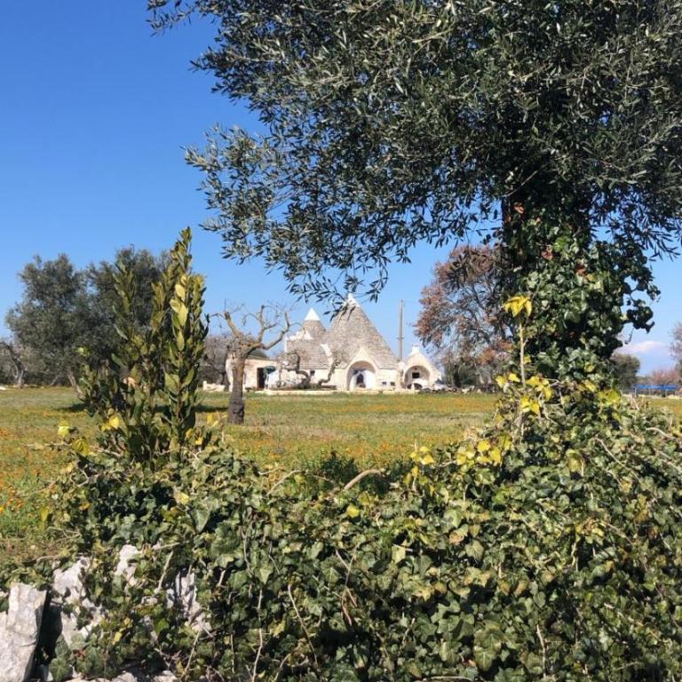 Guest House 38 Monopoli by JD Collection - Trullo con Piscina Privata - 6