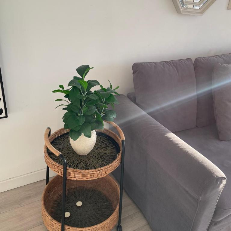 Apartamento con una vista magnifica - Apartamento de 1 dormitorio - 15