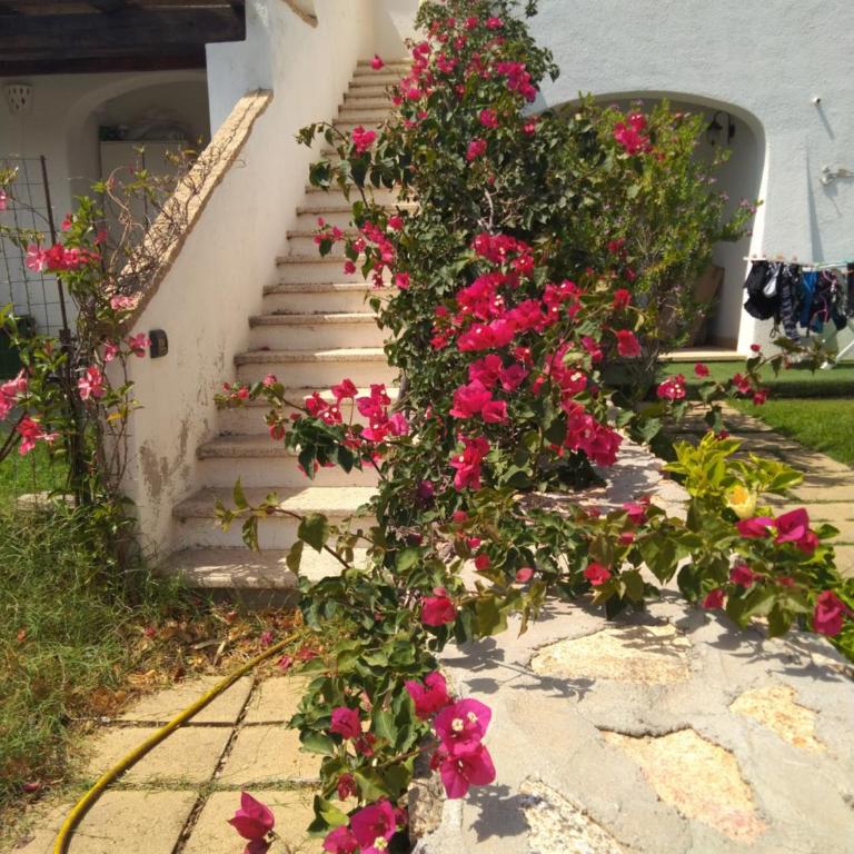 Casa Sardegna Budoni - Casa con 1 Camera da Letto - 8