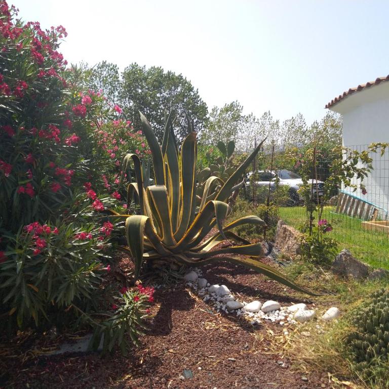 Casa Sardegna Budoni - Casa con 1 Camera da Letto - 17