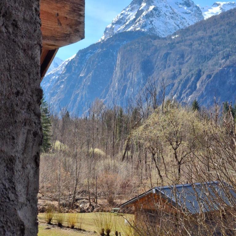 Domaine De La Grande Longe - Chalet 2 Chambres - 21