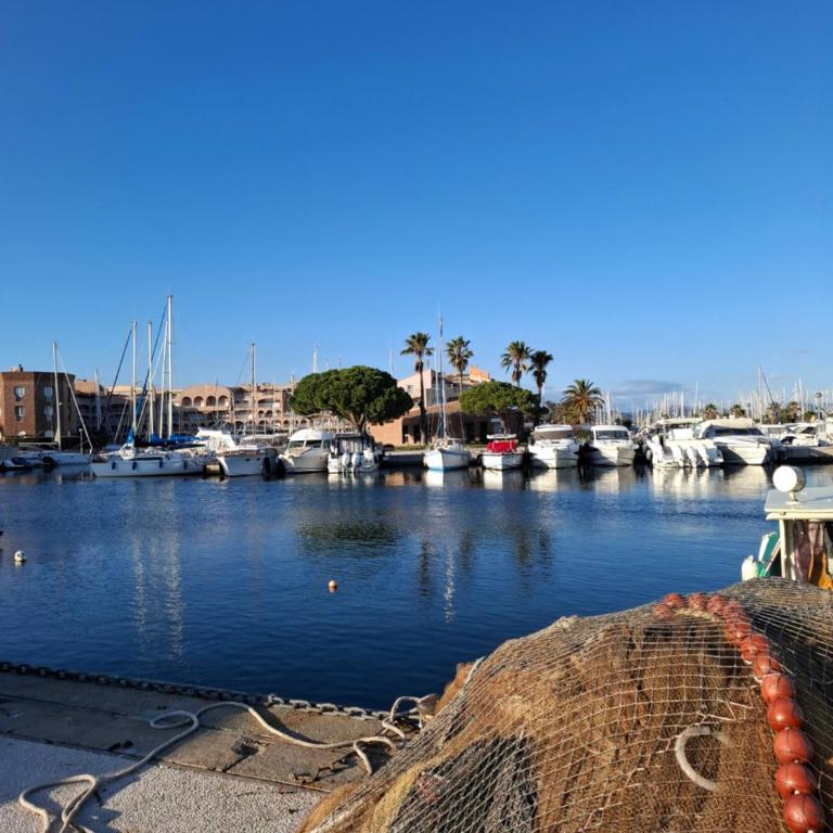 les îles d'or au port de Hyères grand studio climatisé - Apartamento de 1 dormitorio - 27