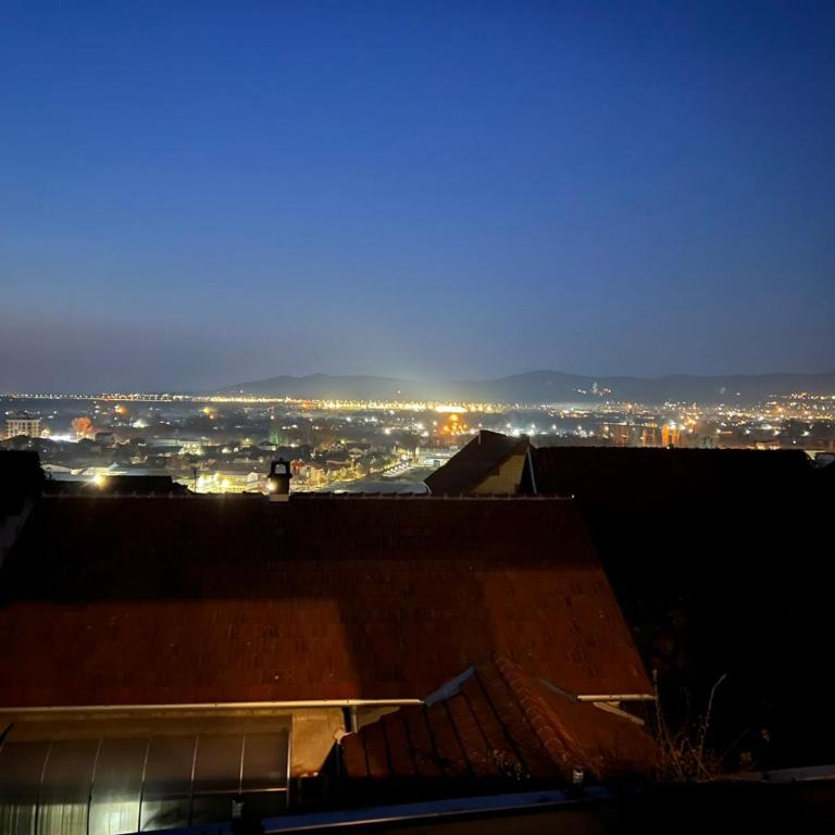 LiboroView - Deluks Studio sa Bračnim Krevetom (King-size) - 13