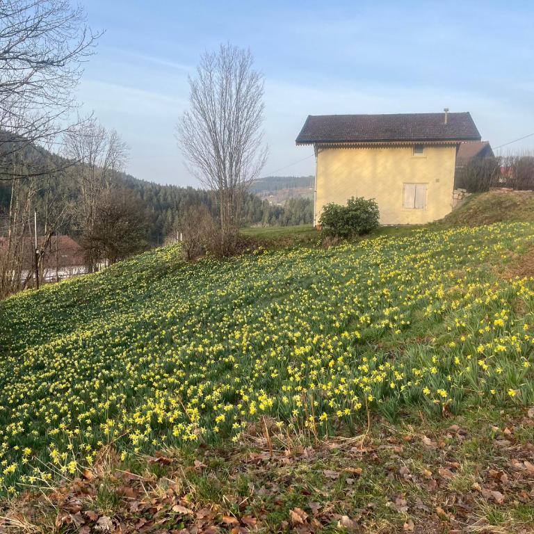 Maison 4 pers à Gérardmer entre lac et montagne avec terrasse - FR-1-589-836 - Maison de Vacances - 27