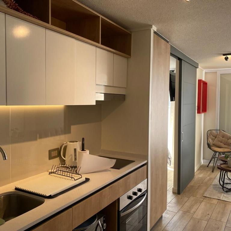 Depa Moderno A pasos de Barrio Italia - One-Bedroom Apartment - 9