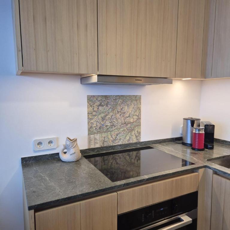 Hemmile - Ferienwohnung in Lech - Apartment mit 2 Schlafzimmern - 17