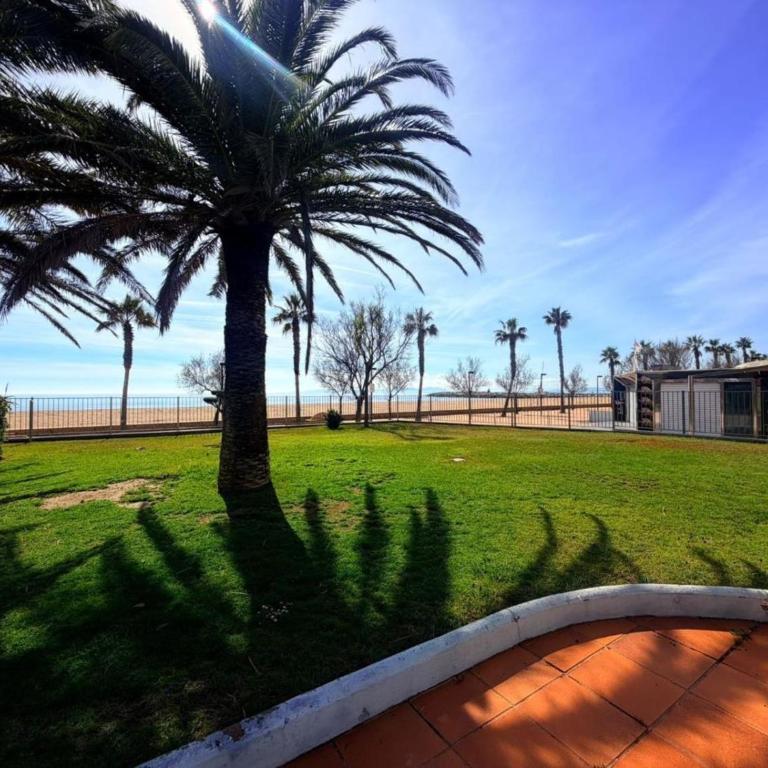 Estudio renovado a 50m de la playa en Roses - ES-204-77 - Apartment - 24