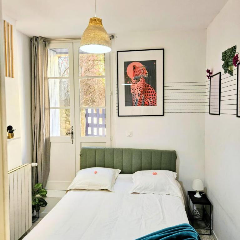 Villa Oasis - Appartements à thèmes - Appartement avec Accès pour Personnes à Mobilité Réduite - 1