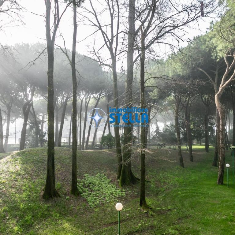 Residence Pineta - Monolocale Standard - 15