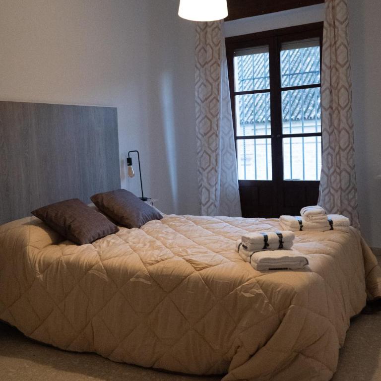 Edificio Alcazar - Apartamento - 8