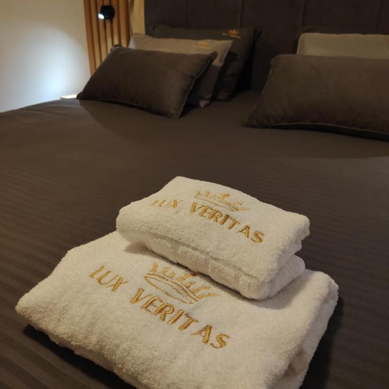 Lux Veritas Near Center FREE PARKING Special April Offer - Apartman sa 1 Spavaćom Sobom - 16