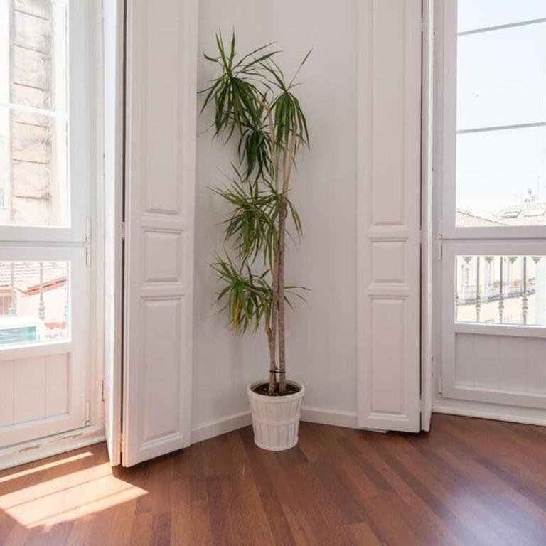 Sunny Málaga Apartments - Superior Apartment - 32