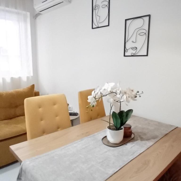 Apartman,, Nina ,, - Apartman sa 1 Spavaćom Sobom - 2