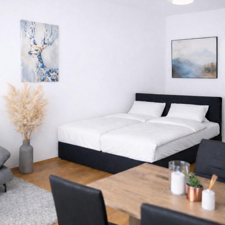 Stadthotel Carinthia - Apartment - 11