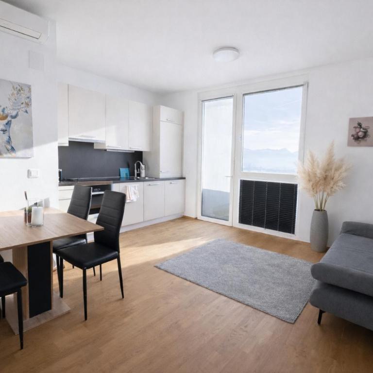 Stadthotel Carinthia - Apartment - 3
