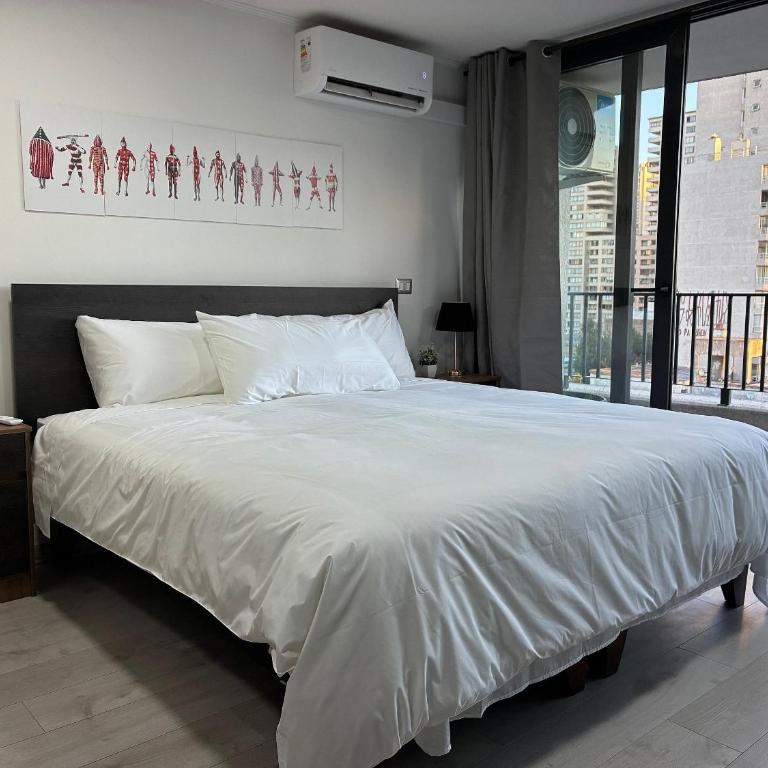 Terrace Studios near La Moneda - Studio Apartment - 30