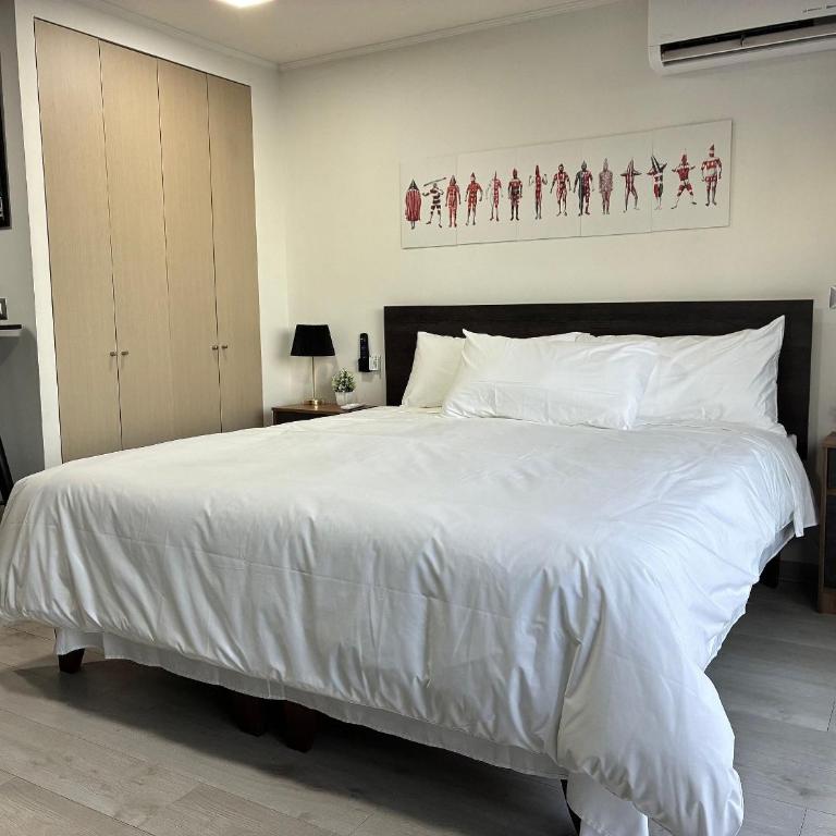 Terrace Studios near La Moneda - Studio Apartment - 32