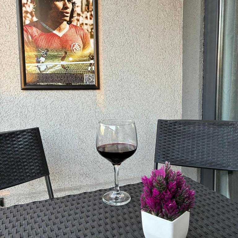 Terrace Studios near La Moneda - Studio Apartment - 40