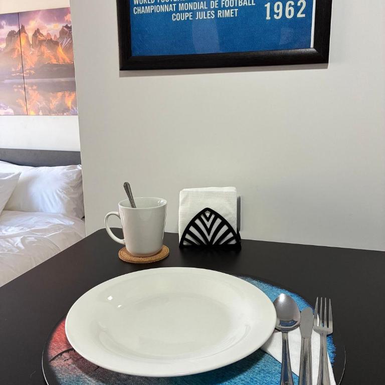 Terrace Studios near La Moneda - Studio Apartment - 46