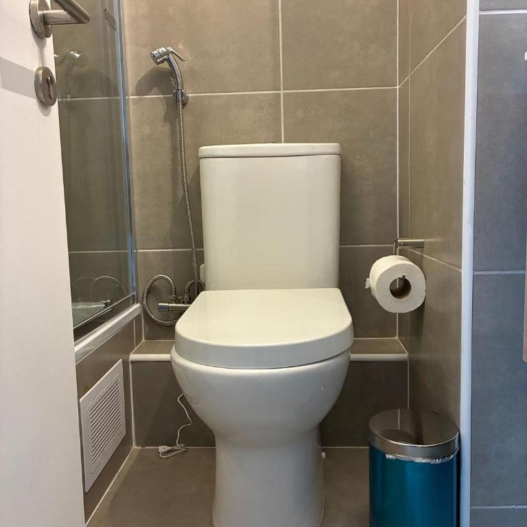 Terrace Studios near La Moneda - Studio Apartment - 52