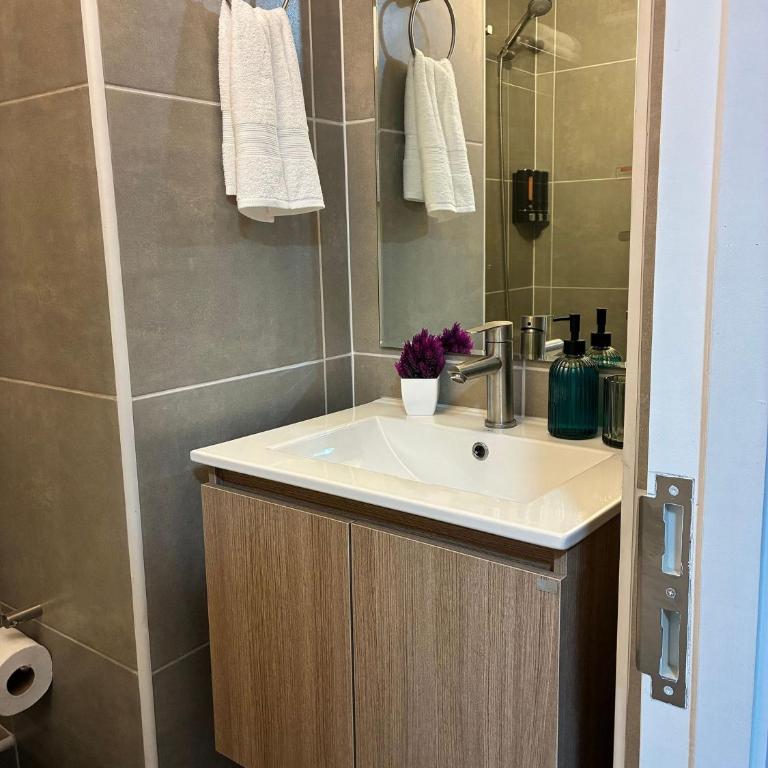 Terrace Studios near La Moneda - Studio Apartment - 54