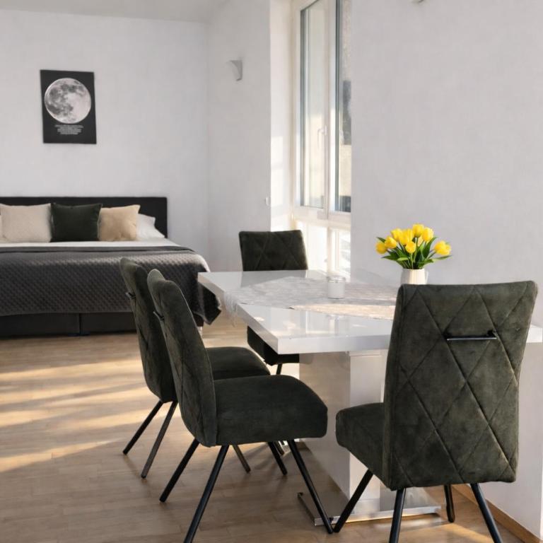 Stadthotel Carinthia - Penthouse-Apartment - 2