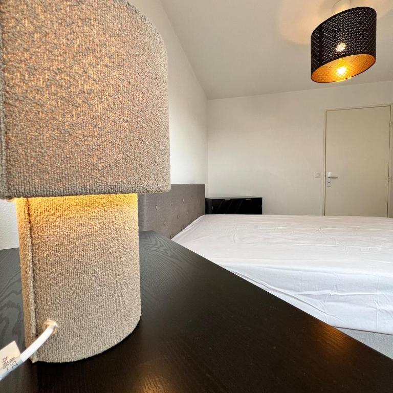 Franck- T2 tout confort -wifi-parking-balcon - Appartement 1 Chambre - 16