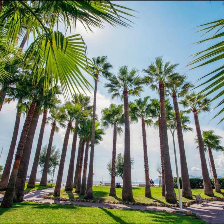 Escapade Palm Beach Cannes à 50 m de la mer 4 personnes - Apartment mit 1 Schlafzimmer - 41