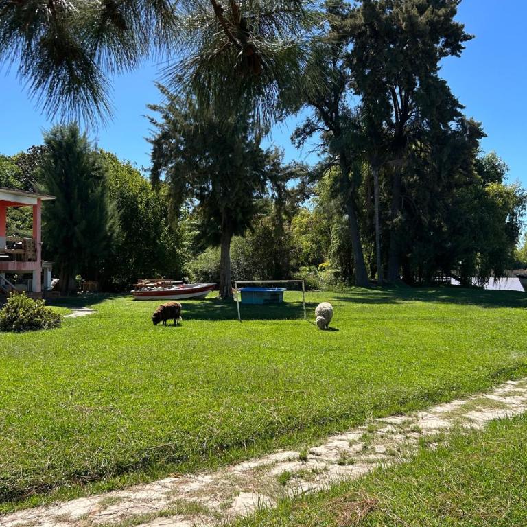 Casa Ideal para Familias - Casa de 2 dormitorios - 28