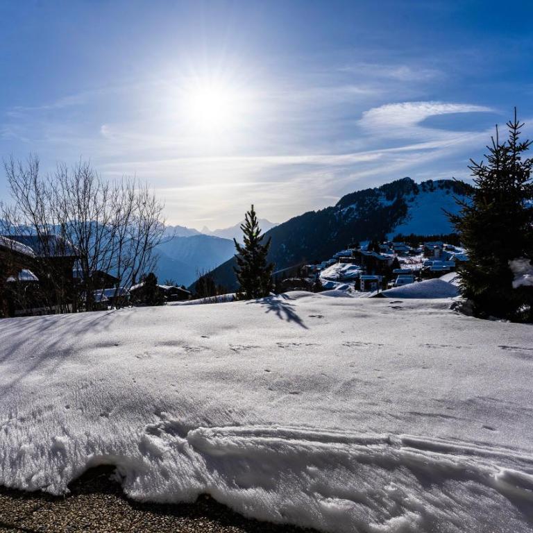 Haus Chämihitta, Riederalp Moosfluh - Studio mit Terrasse - 7