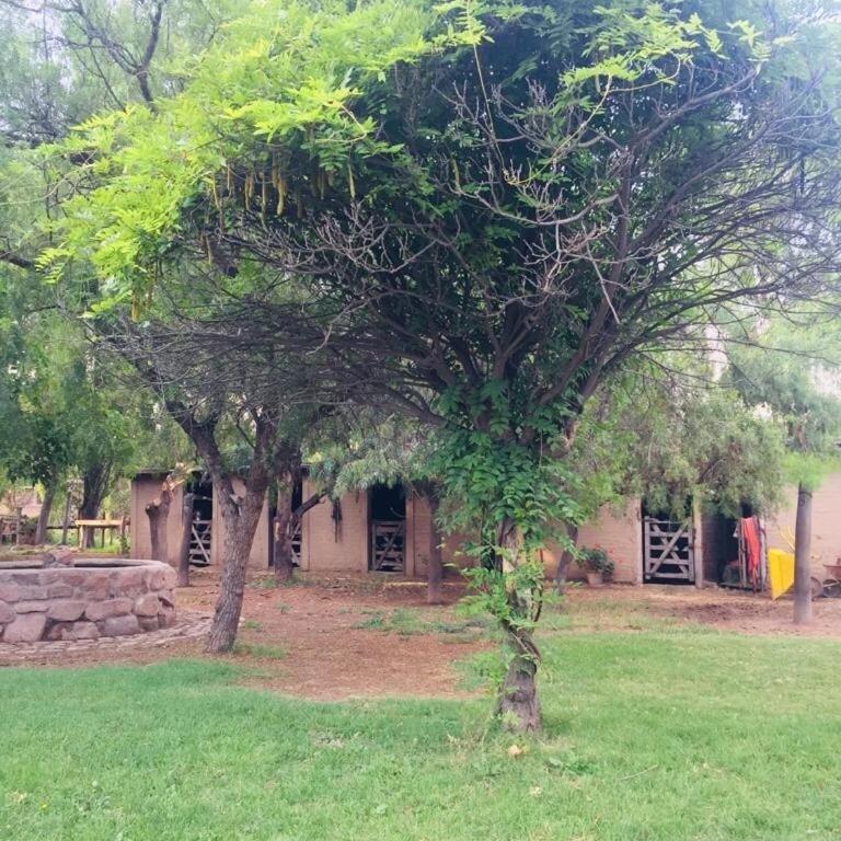 Excellent country house in a private neighborhood for 10 - Casa de 5 dormitorios - 11