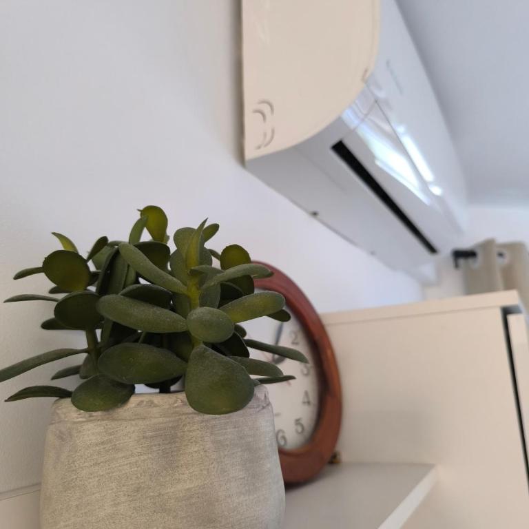 Apartamento Sol y Mar parking gratuito - Apartamento de 1 dormitorio - 30