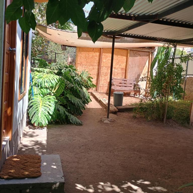 Cabaña Peralillo - One-Bedroom Apartment - 13
