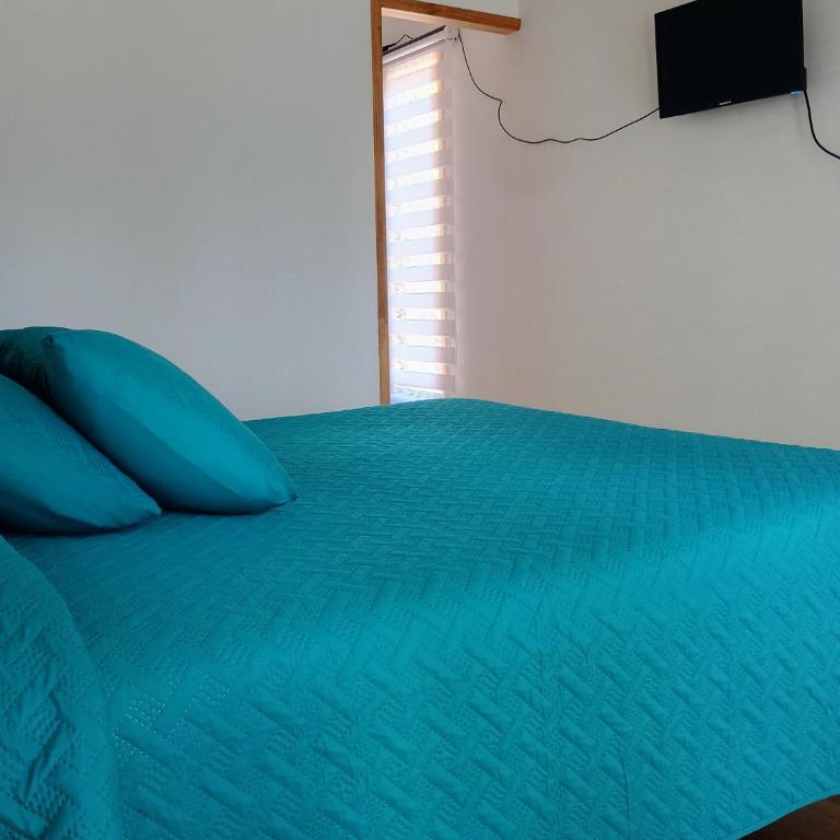 Cabaña Peralillo - One-Bedroom Apartment - 24