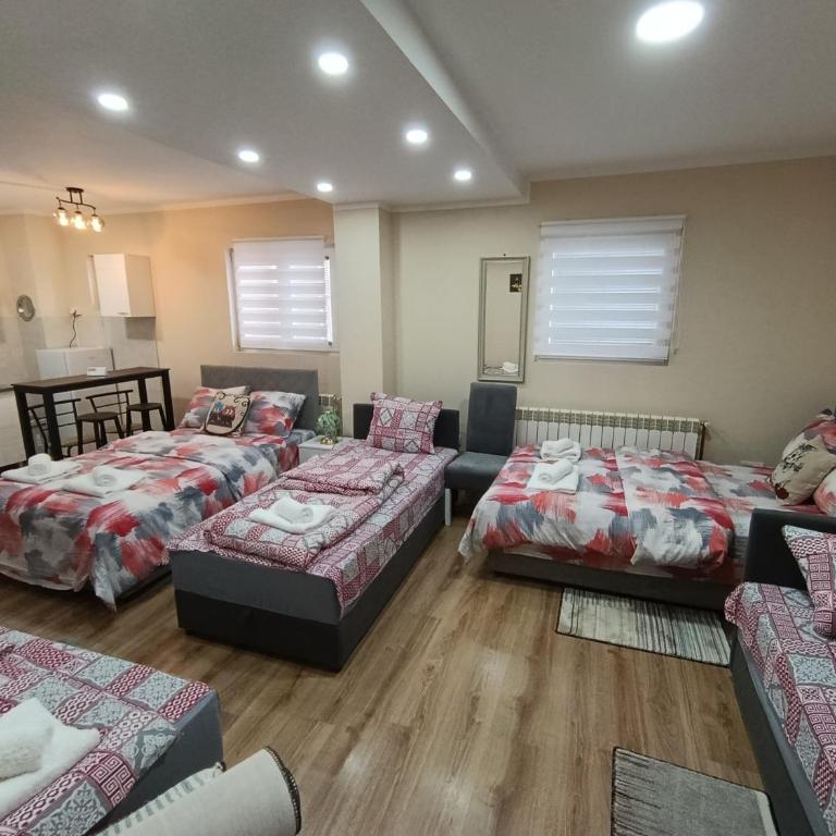 Apartments & Rooms -PANORAMA MDLL BELGRADE - Apartman - Prizemlje - 1